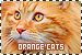  Cats: Orange/Red