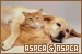  ASPCA and NSPCA